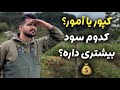 تفاوت ماهی کپور و آمور کدام گزینه برای پرورش بهتر است