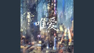 唯爱 (only love)