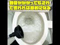 誰でも出来るトイレつまり直し方【業者呼ぶ前に絶対見て】100均のスッポン(ラバーカップ)でトイレの詰まりを直す方法！#shorts [大阪]