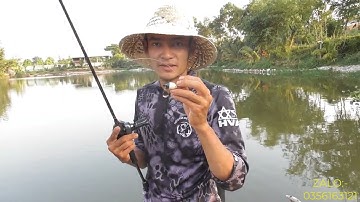 CÁCH CÂU NHÁI HƠI CƠ BẢN CHO NGƯỜI MỚI