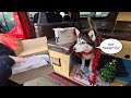 Husky gives Daughter and Me the Perfect Gift