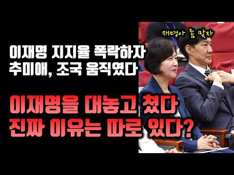 이재명 죽도록 때려 패는 추미애, 조국 근황 ㅋㅋ