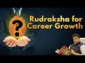 Best rudraksha for career growth your key to success  rudralife