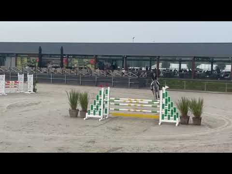 Usher d'Aro VG Z Peelbergen