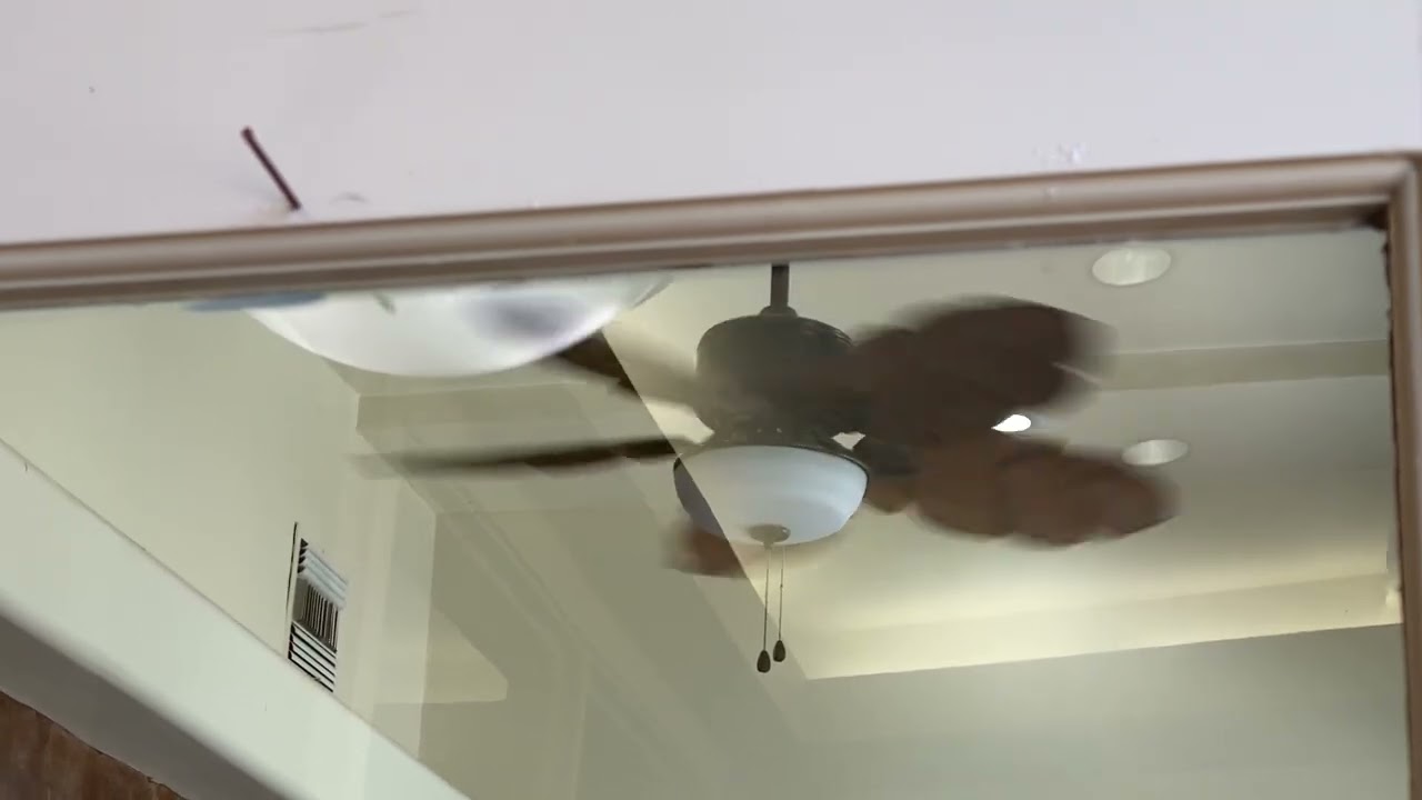 HDC Palm Cove Ceiling Fan