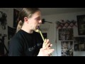 Elueitie - Thousandfold Tin Whistle Cover