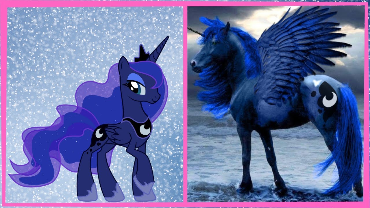 Personagens NA VIDA REAL - My Little Pony All Characters IN REAL