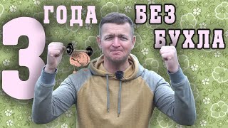 Не пью алкоголь 3 года. Всё на своих местах.