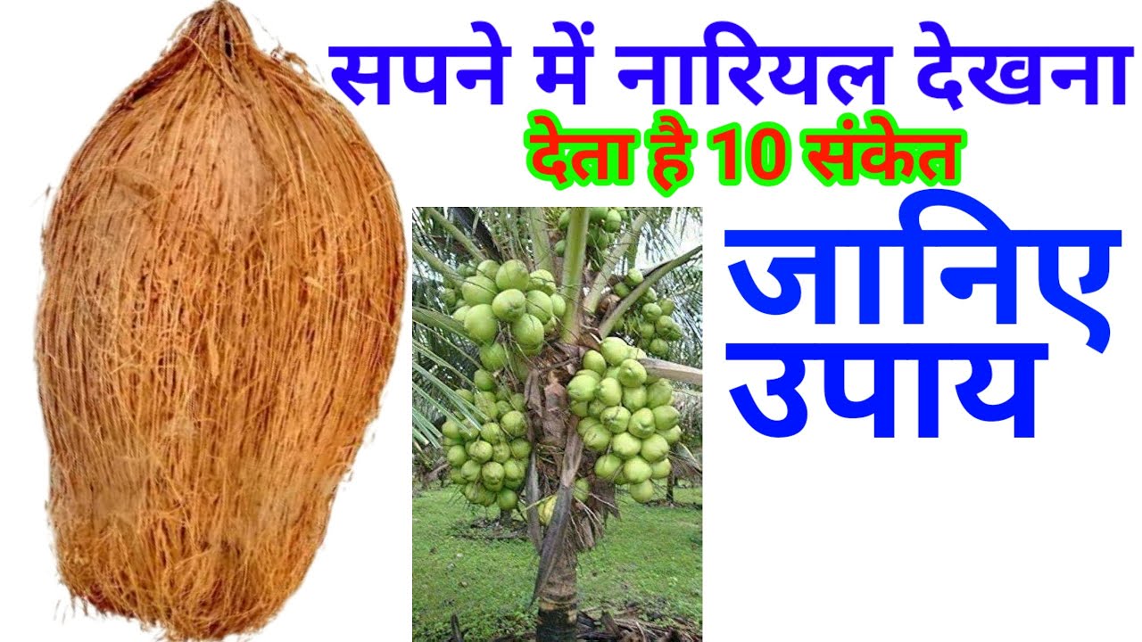 sapne-mein-nariyal-dekhna-sapne-me-nariyal-dekhna-youtube