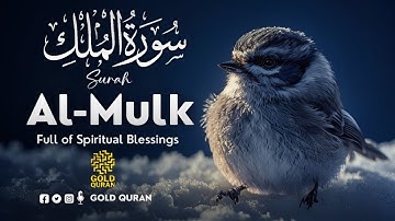 Surah Al-Mulk | سورة الملك – Calming Tilawah that Brings Peace, Quran For Sleep