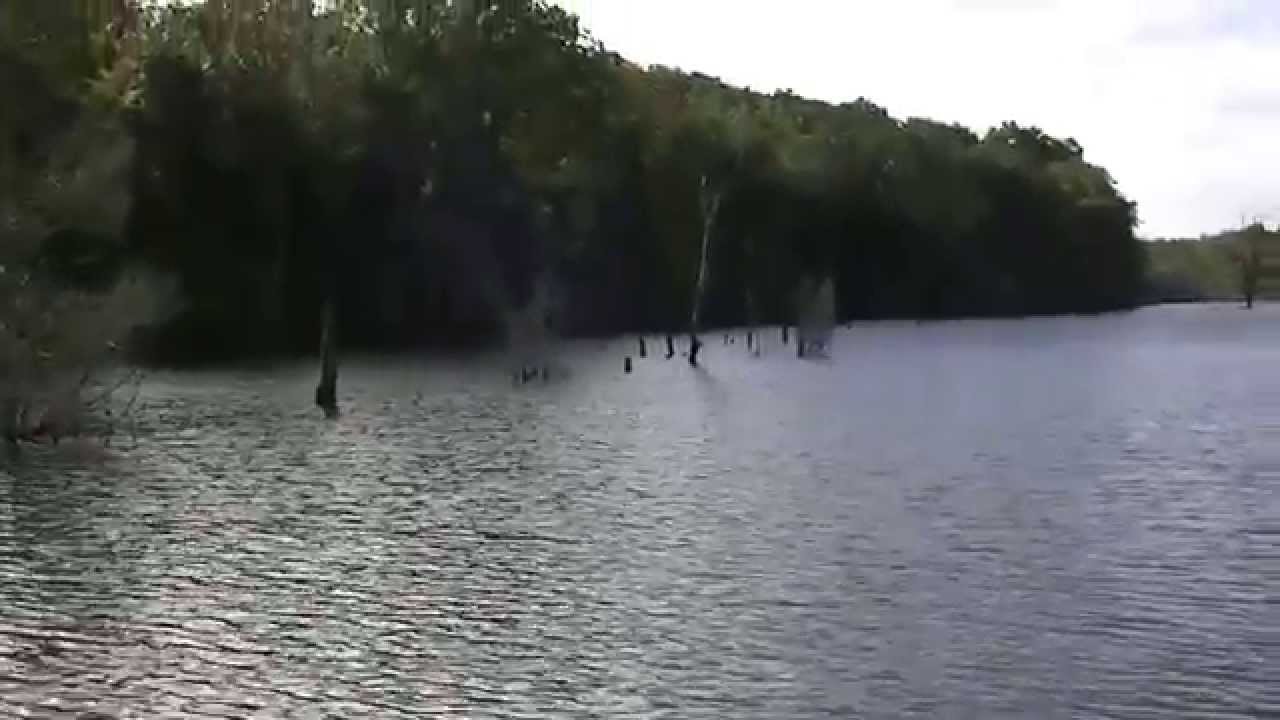 cedar creek lake, ky