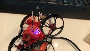 Eachine Trashcan bad ESC