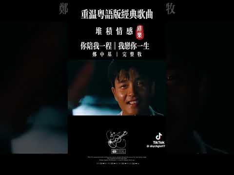 大笨 - 不该用情 (正式版)『也许当初不该用情，如今不会再有痴情。』【动态歌词】抖音