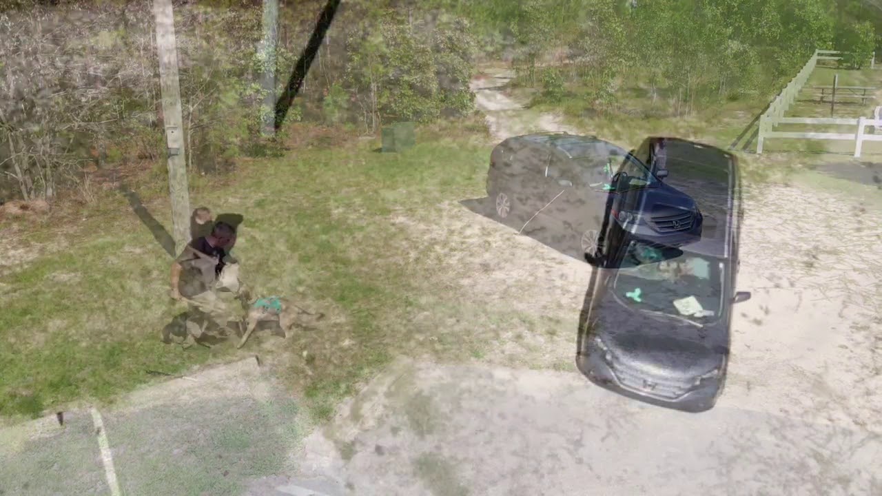 K9 Tali Protection Training GWK9