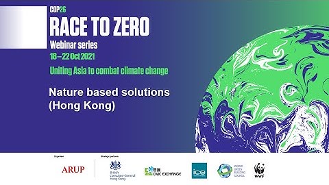 Race to Zero: Nature based solutions (Hong Kong)