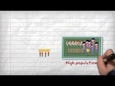 Kako gostota prebivalstva vpliva na družbo?
