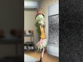 【⚠︎音量注意⚠︎】7秒で感動