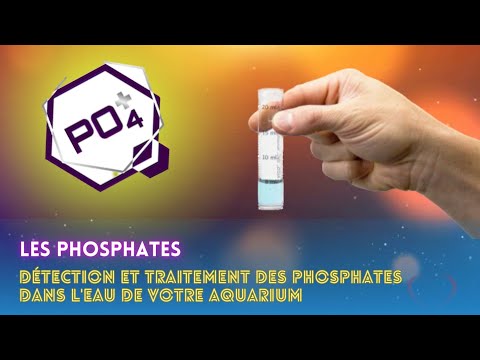 Vidéo: 3 façons de réduire les phosphates