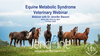 Equine Metabolic Syndrome (EMS) - Veterinary Webinar with Dr Jen Stewart screenshot 2