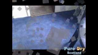 Carpet Cleaning Glasgow Demo