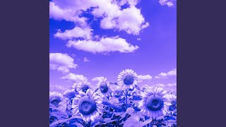 Scintillating Acoustic Guitar Music - Vibe for Powerful Boosts