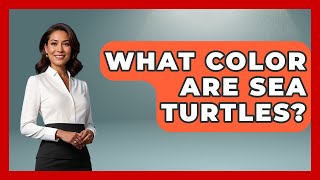 What Color Are Sea Turtles? - The Marine Life Explorer