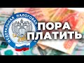 Как заполнить 3-НДФЛ на доход с дивидендов США?