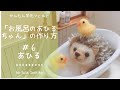 かんたん羊毛フェルト【お風呂のあひるちゃん】の作り方