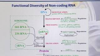 BIO502_Topic183