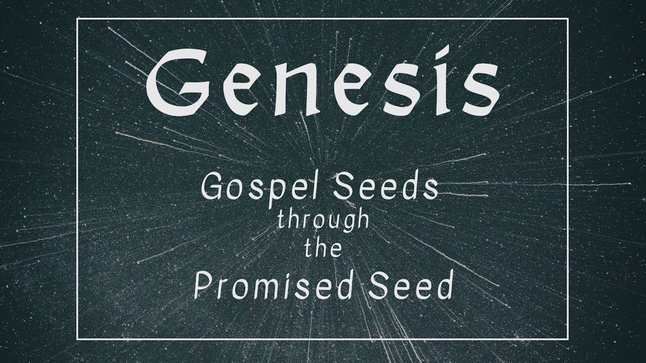 02/01/2026 - "The Covenant God with His Creation" - Genesis 2:4-7