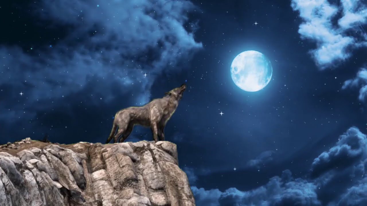 Слушать песни вою на луну. Волк воет на луну мультяшный. Вою на луну заставка. Ремикс вой Волков.