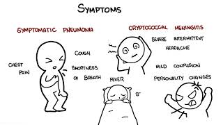 Cryptococcus neoformans infection  symptoms, pathophysiology, diagnosis, treatment