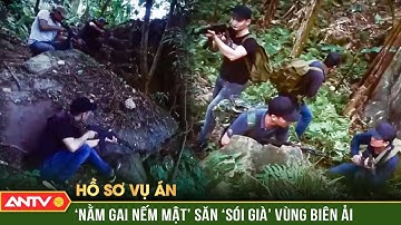 Hồ sơ vụ án: Cuộc đọ súng ác liệt săn ‘sói già’ lì lợm ẩn mình giữa chốn thâm sơn | ANTV