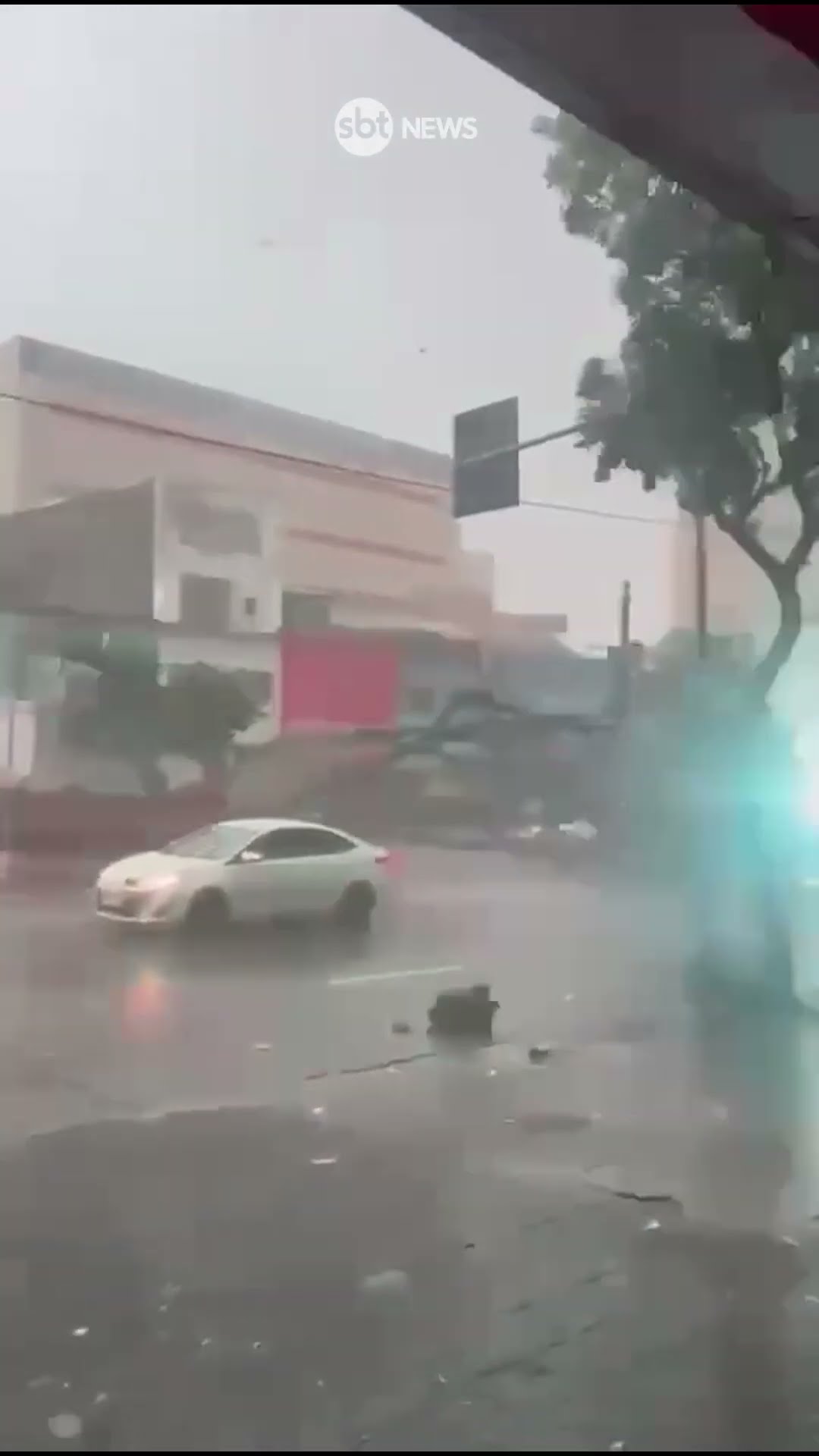 Imagens mostram momento que árvore atinge táxi e mata motorista durante temporal em SP