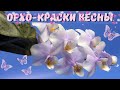 Орхидейные краски весны. Обзор весеннего цветения орхидей