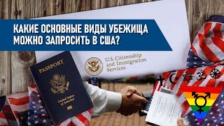 Какие основные виды убежища можно запросить в США?