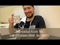 Hospital surgery. Introduction to cardiovascular surgery.