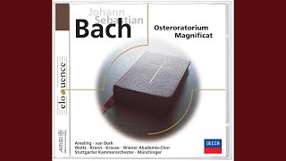 J.S. Bach: Oster-Oratorium, BWV 249 - I. Sinfonia