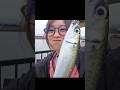 釣り配信中に突如始まったファン太さんチャレンジ!