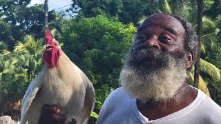 King johnny vs white foul || Watch to the end!