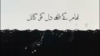 Urdu lyrics Pal pal jena mohal . Afusic ( Ali somroomusic) پَل پَل جینا محال