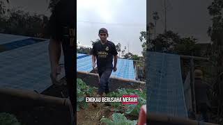 merasa paling hebat, sampai tak ibadah ?
