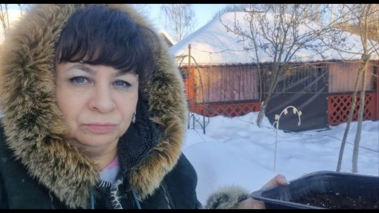 Привет от брата. Удачный рецепт капусты на зиму. Начала посевную. Приятное общение.