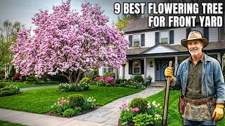 Exclusive 9 Best Flowering Trees for Front Yard! Details