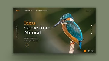 UI UX Design - Amazing Nature Website Design and Landing Page - Adobe Photoshop - Fazil Studio