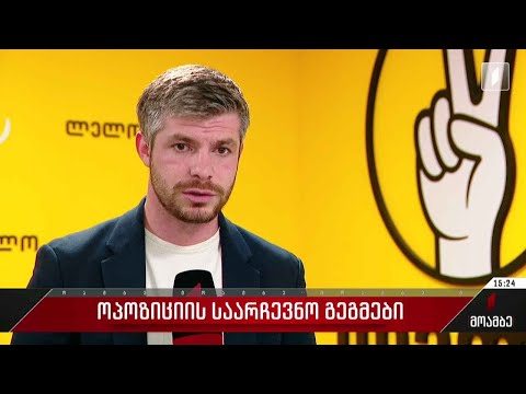 ოპოზიციის საარჩევნო გეგმები