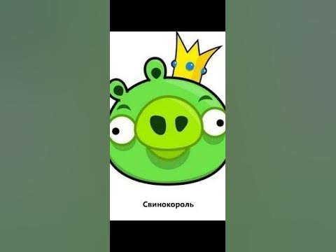 Играю в энгри бердс на паре астрономии - YouTube