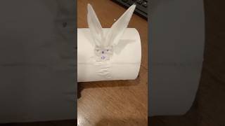 How To Make Rabbit On Toilet Paper Roll