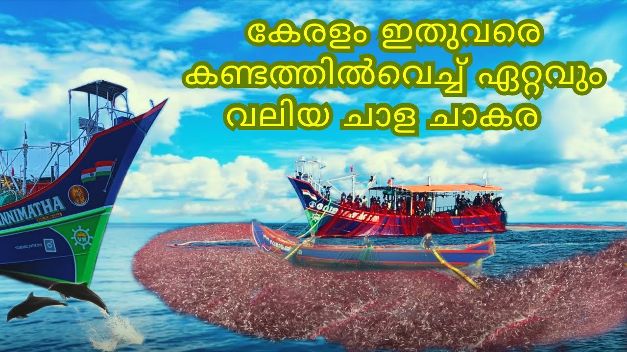 Must watch‼️ കേരളം ഇതുവരെ കണ്ടത്തിൽ വെച്ച് ഏറ്റവും വലിയ ചാള ചാകര 🤩 #explore #fishing #youtubevideo 