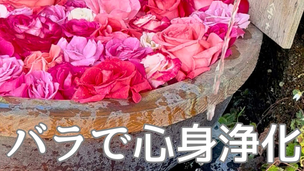 流すだけで浄化✨春のパワースポットで心が軽くなる